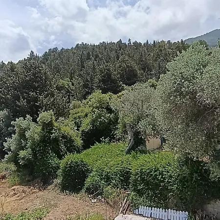 With Large Garden And Balcony In Touch With Nature Agios Dhometios